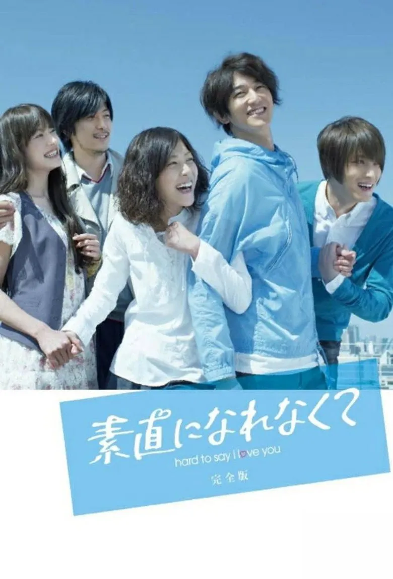 无法坦诚相对海报